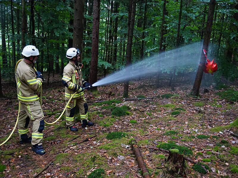 Waldbrand&uuml;bung KirchehrenbachForchheim & Fr&auml;nkische Schweiz
