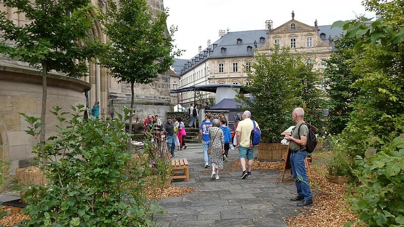 Die Gr&uuml;ne Oase auf dem Domkranz ist im Heiligen Jahr ein Hoffnungszeichen f&uuml;r die Sch&ouml;pfung.