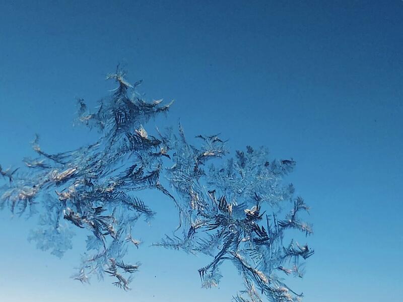Diese Eisblumen am Fenster hat Christel Schneider aufgenommen.