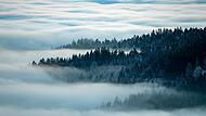 Nebel im Bayerischen Wald