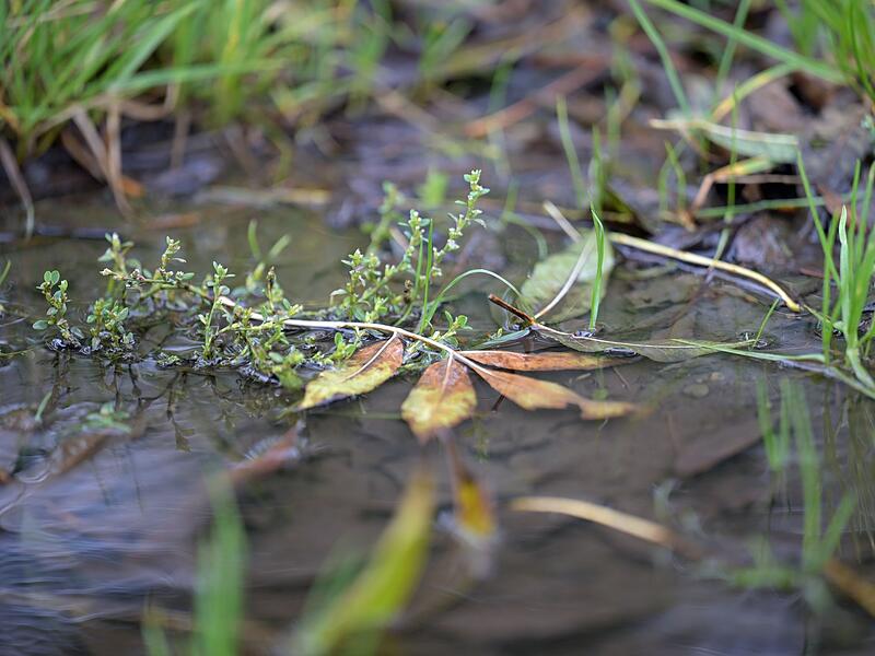 Wetterlage in Deutschland