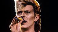 David Bowie