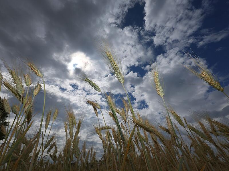 Wetter in Bayern Wetter in Bayern