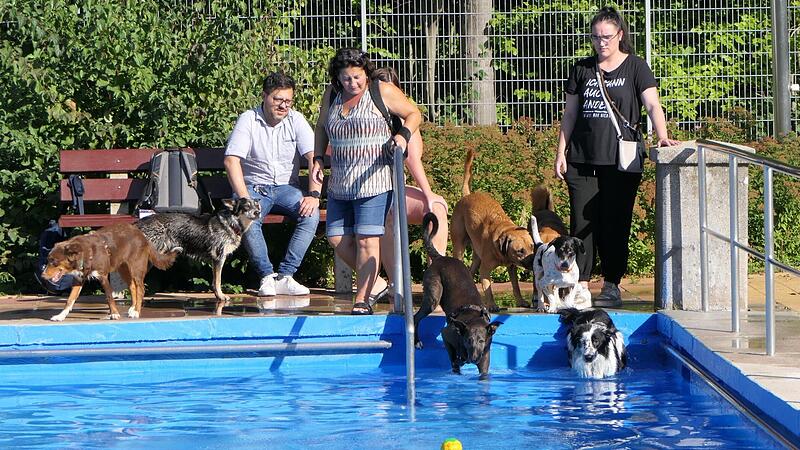 Gro&szlig;er Andrang herrschte beim Hundeschwimmen an den Becken des Eltmanner Freibades.