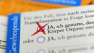 Organspendeausweis Organspendeausweis