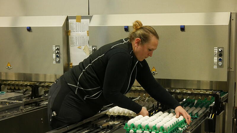 Eine Mitarbeiterin kontrolliert, dass die Maschine die Eier richtig verpackt.