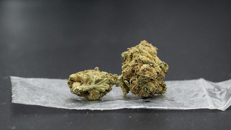 Eine Cannabisbl&uuml;te liegt auf einem Plastikbeutel.