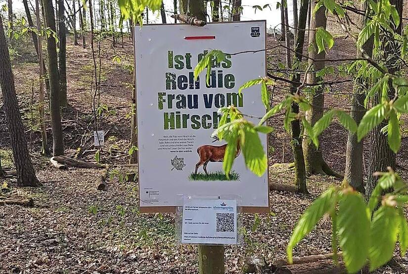 Hier ist eines der Projekte zu sehen.