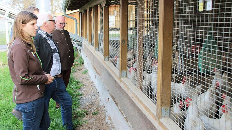 Larissa Weinmann zeigt den Mitgliedern des Bau- und Umweltausschusses die Ställe auf dem Gelände des Versuchs- und Bildungszentrums in Kitzingen.