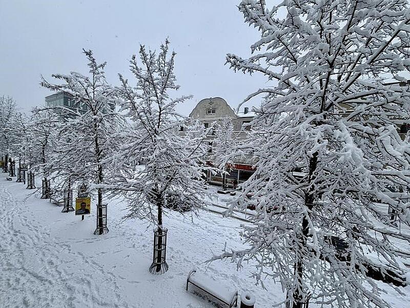 Schnee in Kulmbach: Die sch&ouml;nsten Leserfotos