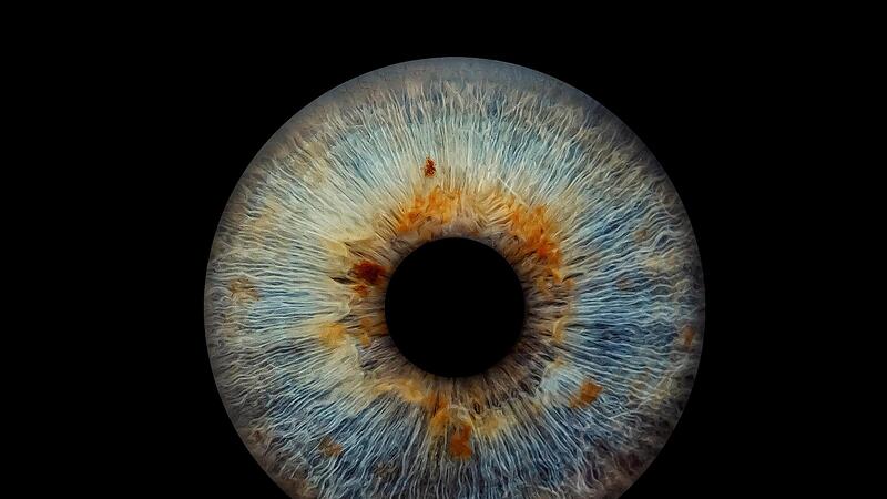 Unsere Augen sind unser Tor zur Welt.