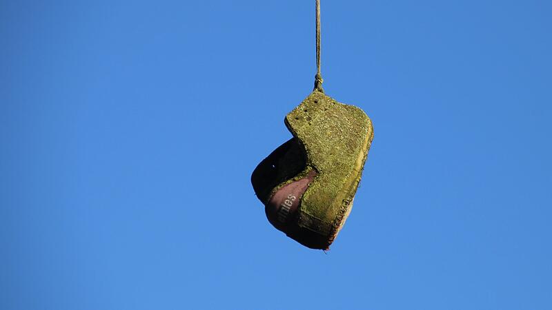 Eine richtig sch&ouml;ne Moosschicht hat sich auf diesem "Baumschuh" gebildet. Vor dem blauen Fr&uuml;hlingshimmel sieht er aus wie ein Kunstwerk.