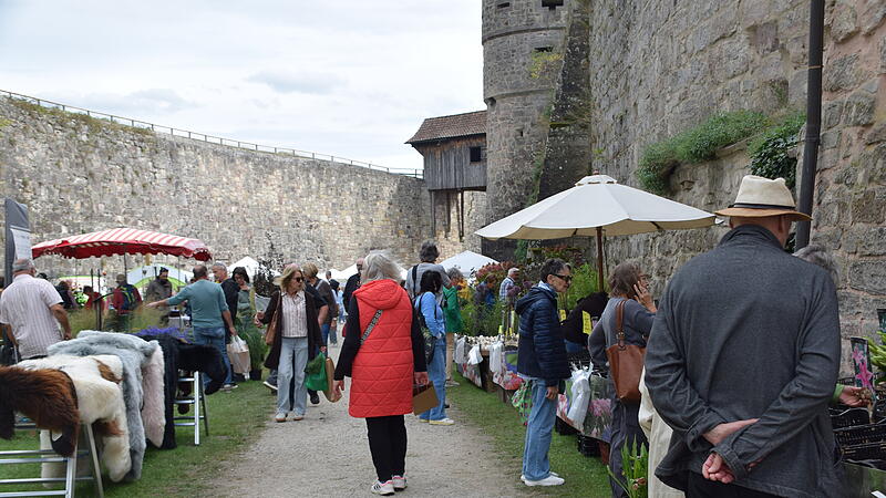 Viele Bilder: Die Rosenmesse auf der Festung Rosenberg bezaubertViele Bilder: Die Rosenmesse auf der Festung Rosenberg bezaubert