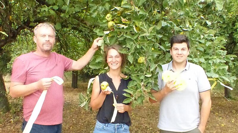 Ernten erlaubt! Gelbe B&auml;nder markieren die zum Ernten freigegebenen Obstb&auml;ume. Gute Laune herrscht daher bei den Initiatoren Nina Streng, Philipp Lurz von den Gemeindeallianzen Main & Ha&szlig;berge und Hofheimer Allianz und Kreisfachberater Guntram Uls...