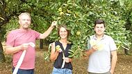 Ernten erlaubt! Gelbe Bänder markieren die zum Ernten freigegebenen Obstbäume. Gute Laune herrscht daher bei den Initiatoren Nina Streng, Philipp Lurz von den Gemeindeallianzen Main & Haßberge und Hofheimer Allianz und Kreisfachberater Guntram Uls...