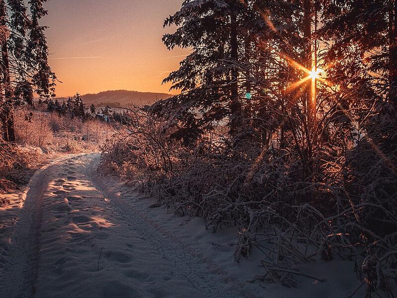 Leserfotos: So sch&ouml;n ist der Frankenwald im SchneeLeserfotos Schnee Januar 2026