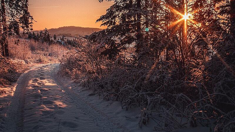 Leserfotos: So sch&ouml;n ist der Frankenwald im SchneeLeserfotos Schnee Januar 2026