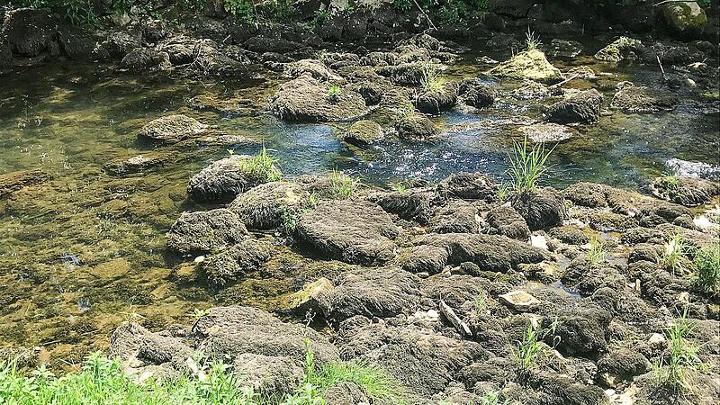 Ein Wiesent-Arm ohne Wasserzulauf: Bilder wie dieses aus dem Sommer 2020 sind den Bewohnern entlang der Wiesent heuer erspart geblieben.Forchheim & Fränkische Schweiz Ein Wiesent-Arm ohne Wasserzulauf: Bilder wie dieses aus dem Sommer 2020 sind den Bewohnern entlang der Wiesent heuer erspart geblieben.Forchheim & Fränkische Schweiz