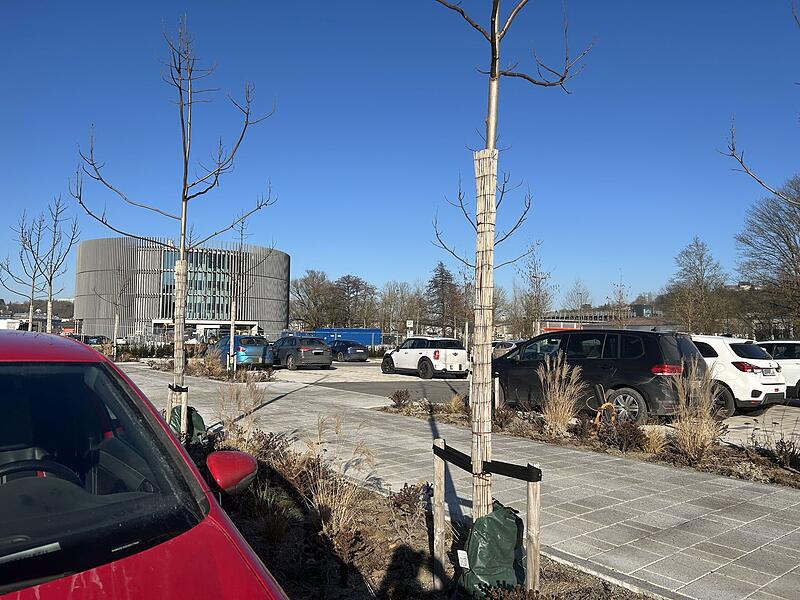 Parkplatz am Globe Coburg