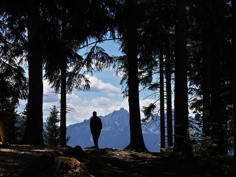 Wanderer