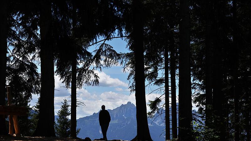 Wanderer Wanderer