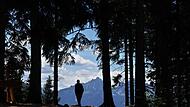 Wanderer Wanderer