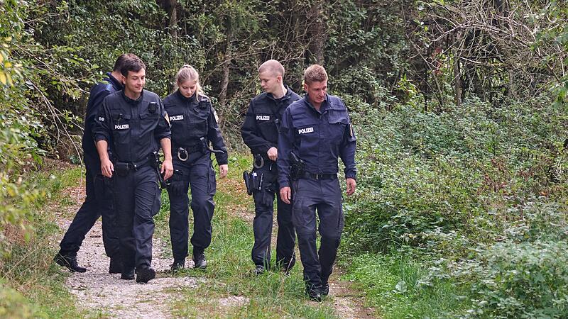 Polizei sucht mutmaßlichen Puma in Bayern Polizei sucht mutmaßlichen Puma in Bayern