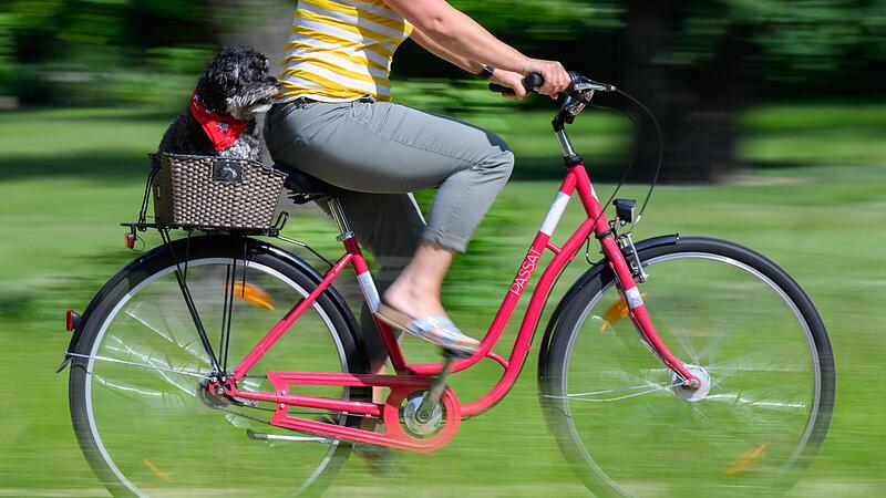 Im Alltag das Fahrrad benutzen, das ist klimaneutral und &uuml;berdies gesund, der Wettbewerb Stadtradeln will dazu ermuntern. Der Landkreis Ha&szlig;berge macht mit.