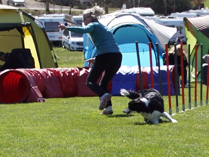Hund und Frauchen in vollem Lauf.