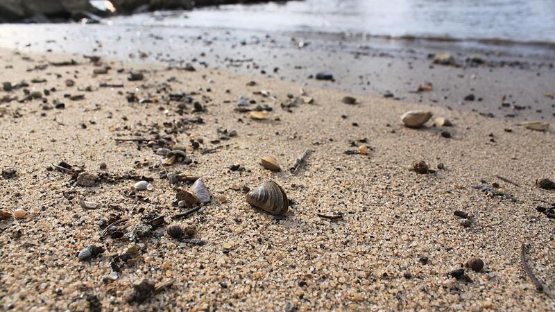 Der Main bei Eltmann. Hohe Temperaturen k&ouml;nnen ebenso wie aktuell starke Niederschl&auml;ge das &Ouml;kosystem des Flusses aus dem Gleichgewicht bringen.