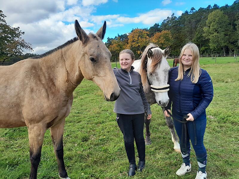 Pferde-Therapie gegen Entwicklungsstörungen