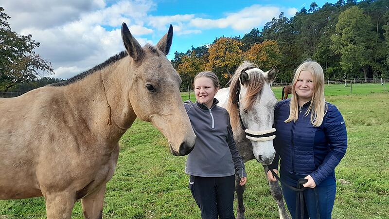 Pferde-Therapie gegen Entwicklungsst&ouml;rungen