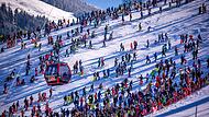 Ski alpin: Weltmeisterschaft Ski alpin: Weltmeisterschaft