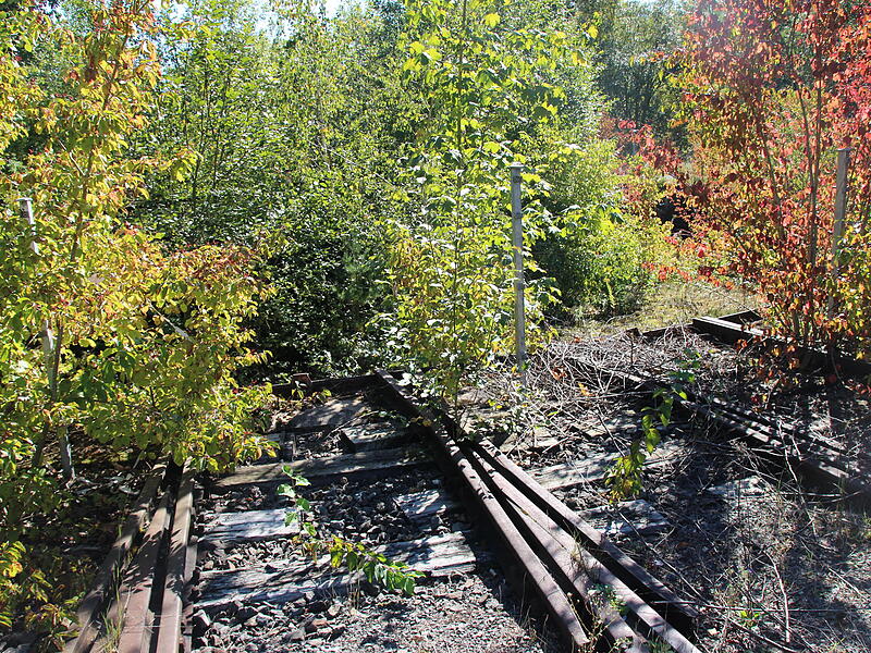Lost Place - der Alte Lokschuppen in CoburgLost Place - der Alte Lokschuppen in Coburg Lost Place - der Alte Lokschuppen in Coburg