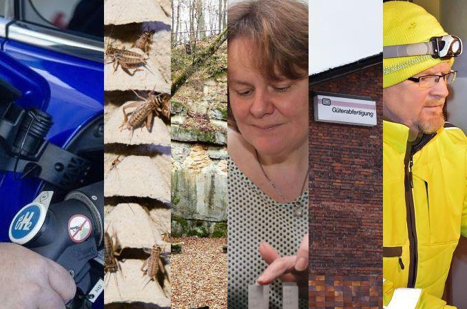 Die wichtigsten Themen der Woche in Kulmbach.