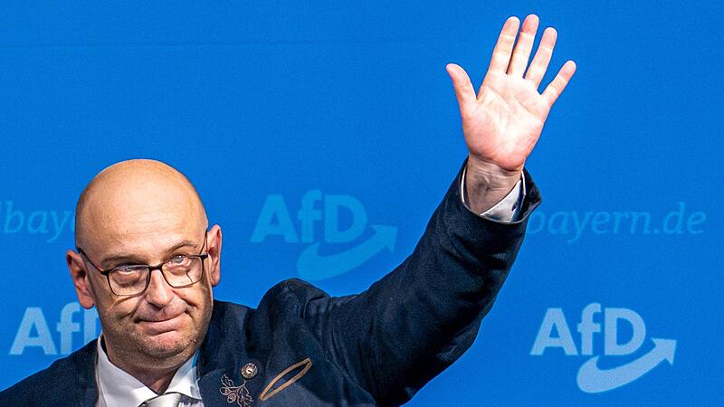 Landesparteitag AfD Bayern Landesparteitag AfD Bayern