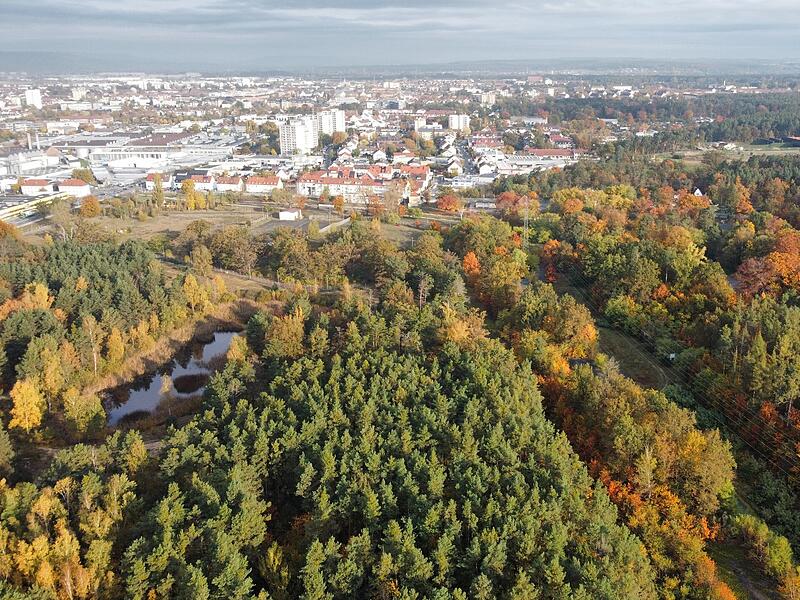 Muna-Gel&auml;nde in Bamberg am Rande des Hauptsmoorwaldes
