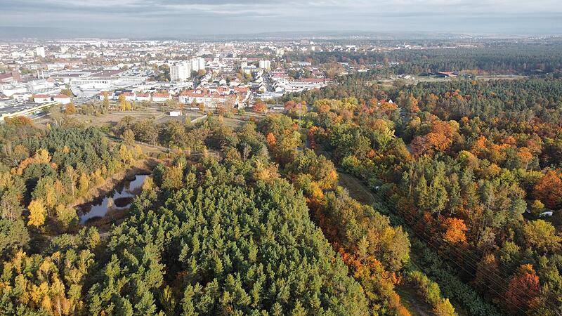 Muna-Gelände in Bamberg am Rande des Hauptsmoorwaldes