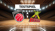 Die Bamberg Baskets haben das Testspiel gegen die Artland Dragons in Strullendorf gewonnen. Alle Highlights im Video. Die Bamberg Baskets haben das Testspiel gegen die Artland Dragons in Strullendorf gewonnen. Alle Highlights im Video.