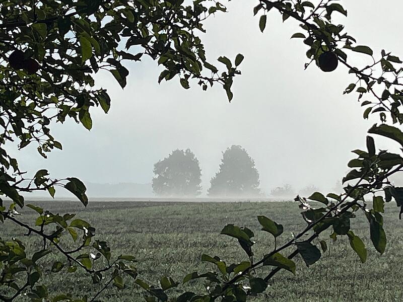 Nach den Hundstagen wird ein herbstlicher Blick in die Ferne wie hier bei Gunzendorf immer wahrscheinlicher.