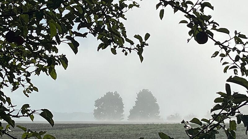 Nach den Hundstagen wird ein herbstlicher Blick in die Ferne wie hier bei Gunzendorf immer wahrscheinlicher.