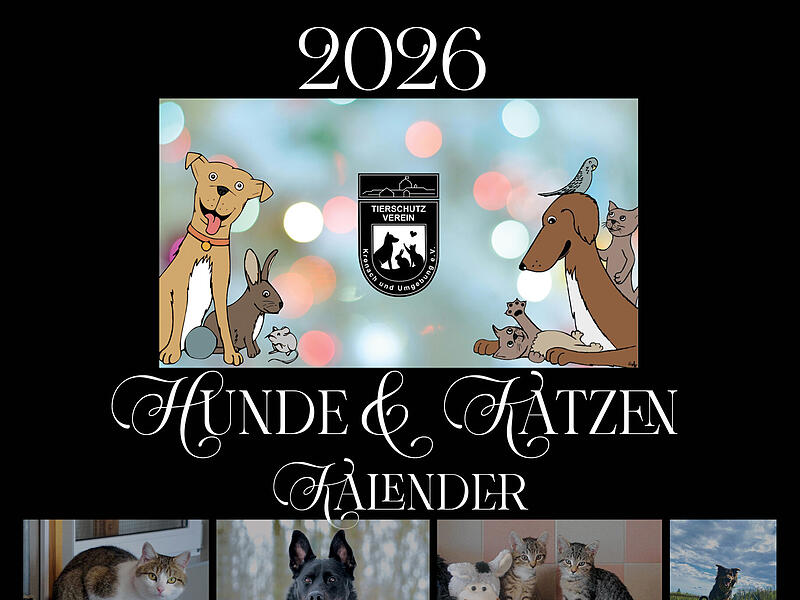 Das Tierheim verkauft auch in diesem Jahr einen Kalender.