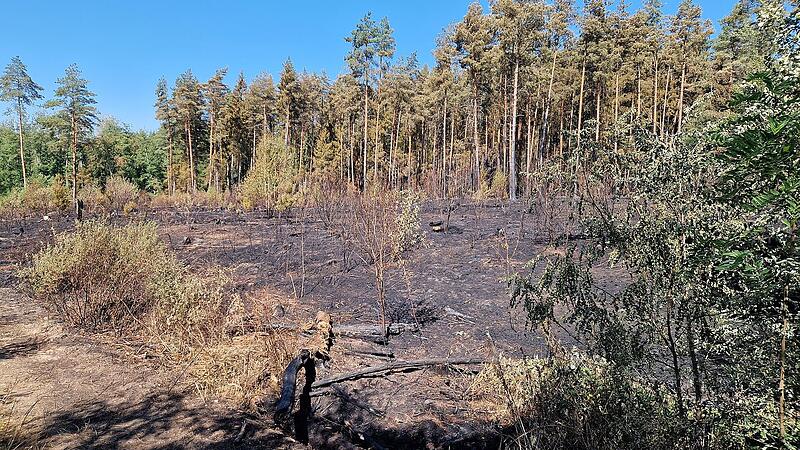 Waldbrand bei Oberhaid Waldbrand bei Oberhaid