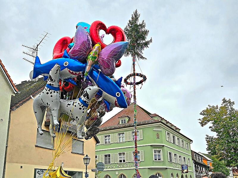 Die Wochenendtipps für den Landkreis Forchheim Die Wochenendtipps für den Landkreis Forchheim