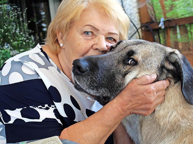 Elfriede Fenski versteht Hunde zu lesen - selbst die größten unter ihnen.