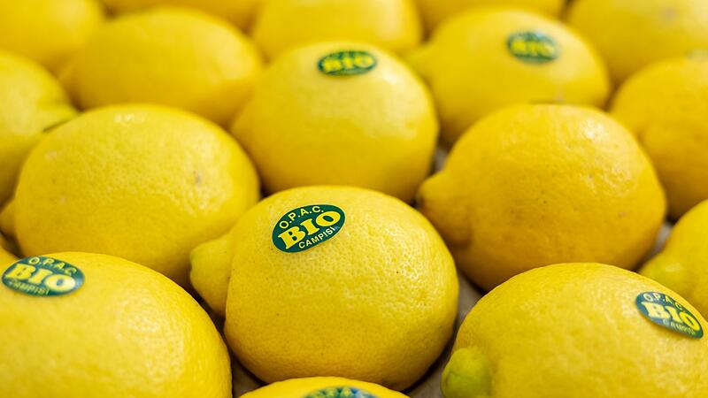 Biofach 2025 Biofach 2025