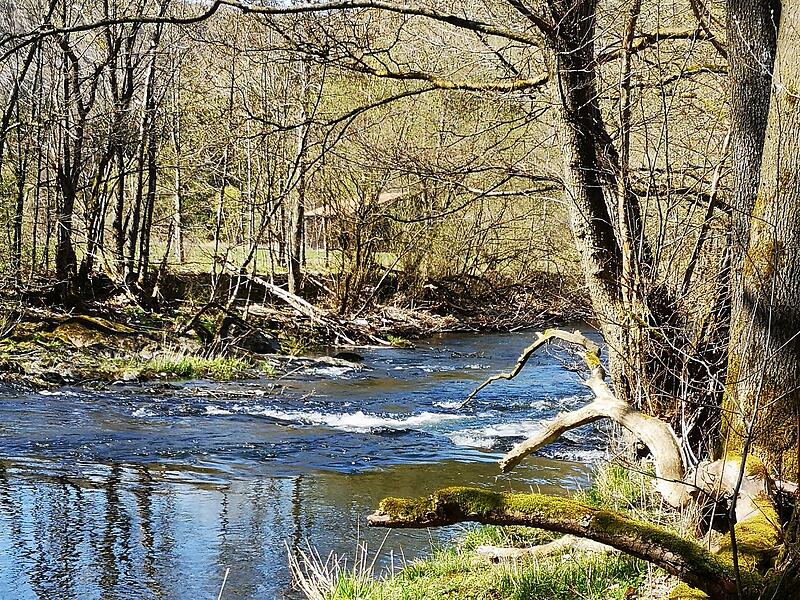 Leserfotos: So sch&ouml;n ist der Sommeranfang im FrankenwaldLeserfotos: So sch&ouml;n ist der Sommeranfang im Frankenwald