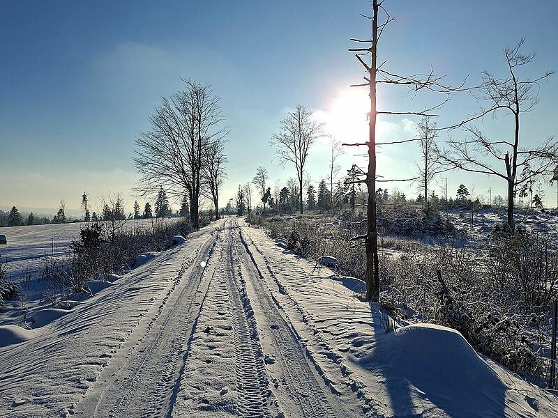 Leserfotos: So sch&ouml;n ist der Frankenwald im SchneeLeserfotos Schnee Januar 2026