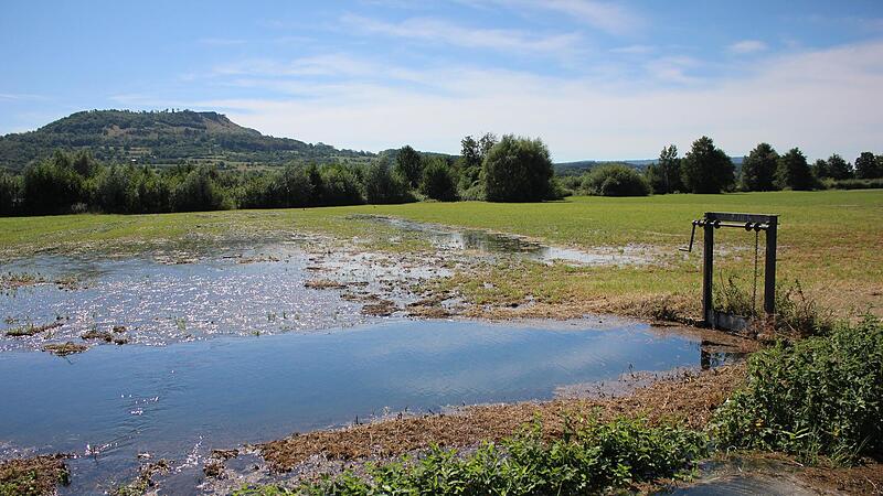 W&auml;sserwiesen im Wiesenttal, im Hintergrund das WalberlaForchheim & Fr&auml;nkische Schweiz