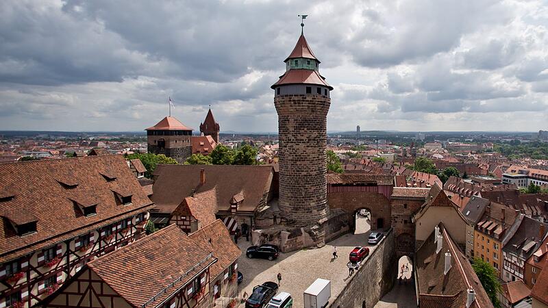 Wanderfalke brütet wieder auf Nürnberger Kaiserburg